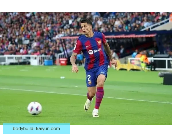 坎塞洛战术适配性分析：表现稳健的多面手助力球队提升竞争力