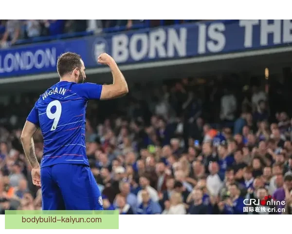 坎特职业生涯轨迹：从法甲到英超核心的稳健发展之路